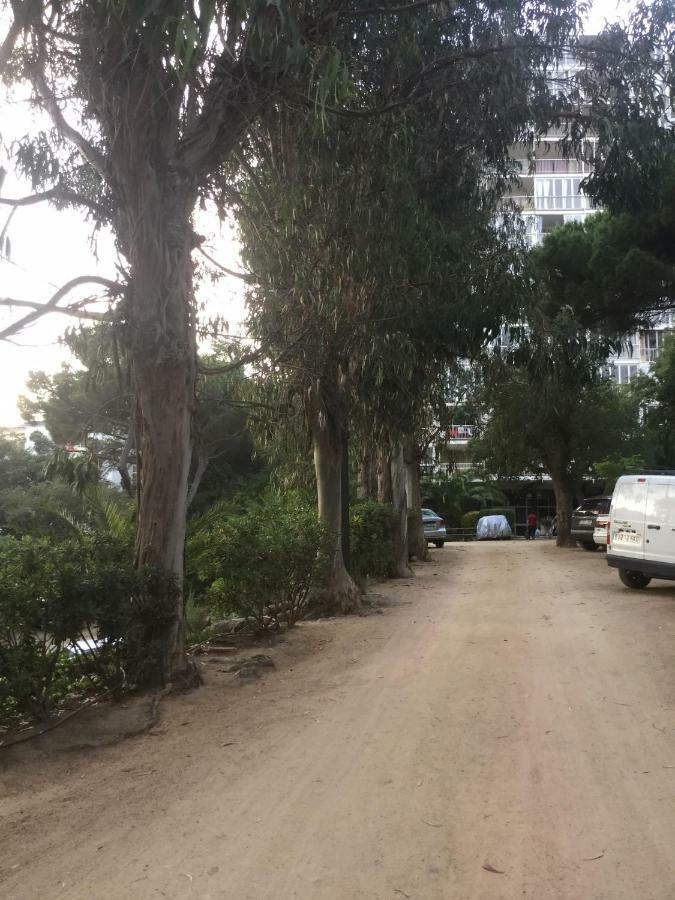 פלטחה ד'ארו El Apartamento Luminoso מראה חיצוני תמונה